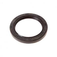 RETENEDOR MOBIS 21321-42031 44X60X7 TERRACAN - RM42031