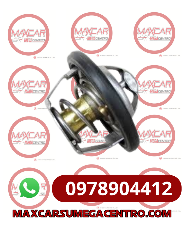 TER.24564633 TERMOSTATO GM VAN N200/N300