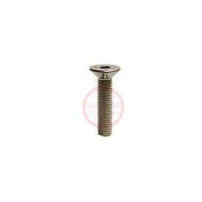 PERNO ALLEN CAB/AVELLANADA INOX 6X20 - PACI6X20