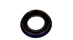 RETENEDOR GM* 25187787 AVEO 35X55 (1217.18) - R1217.18