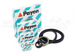 RETENEDOR PAYEN NJ132 56X74X8/10.5 SENTRA  - RNJ132