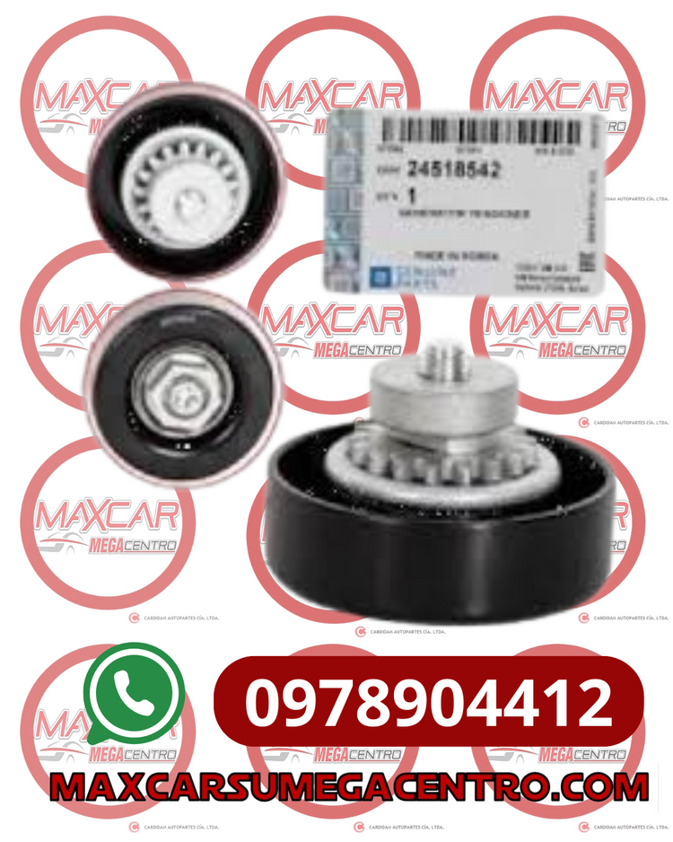 R.24518542 POLEA TEMPLADORA ALT DISGRANCO SPARK GT 1.2/N200/N300