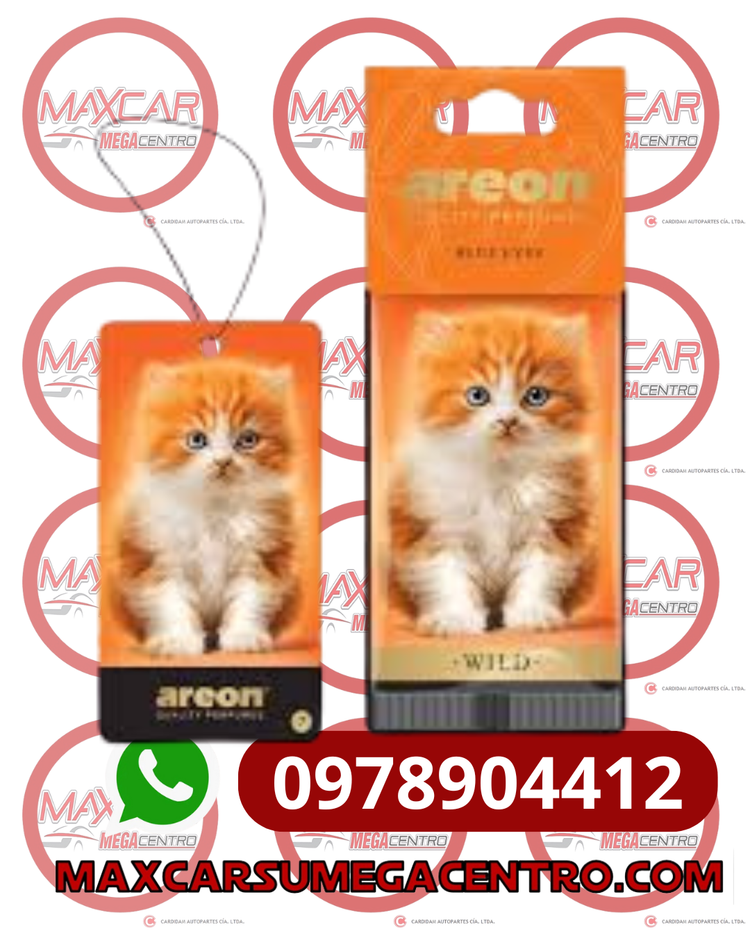 AMB.AW07 AREON WILD BLUE EYES (GATO NARANJA )