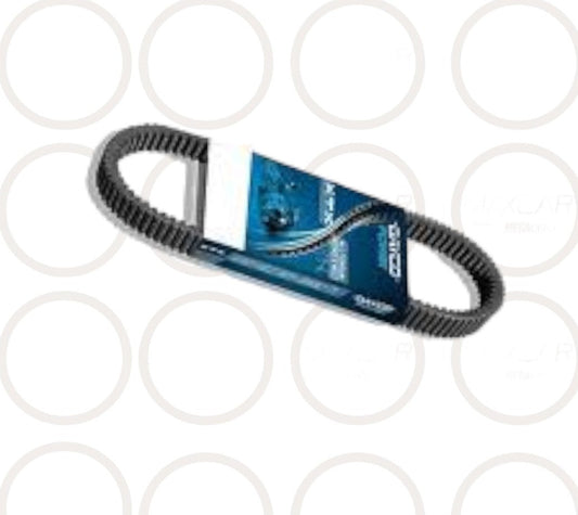 10PK1805 BANDA DAYCO  - B10PK805