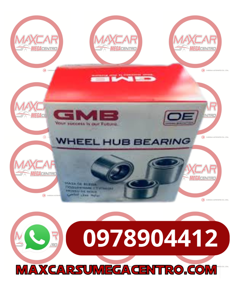 R.GH038170D RULIMAN RDA DEL GMB RIO R 12-