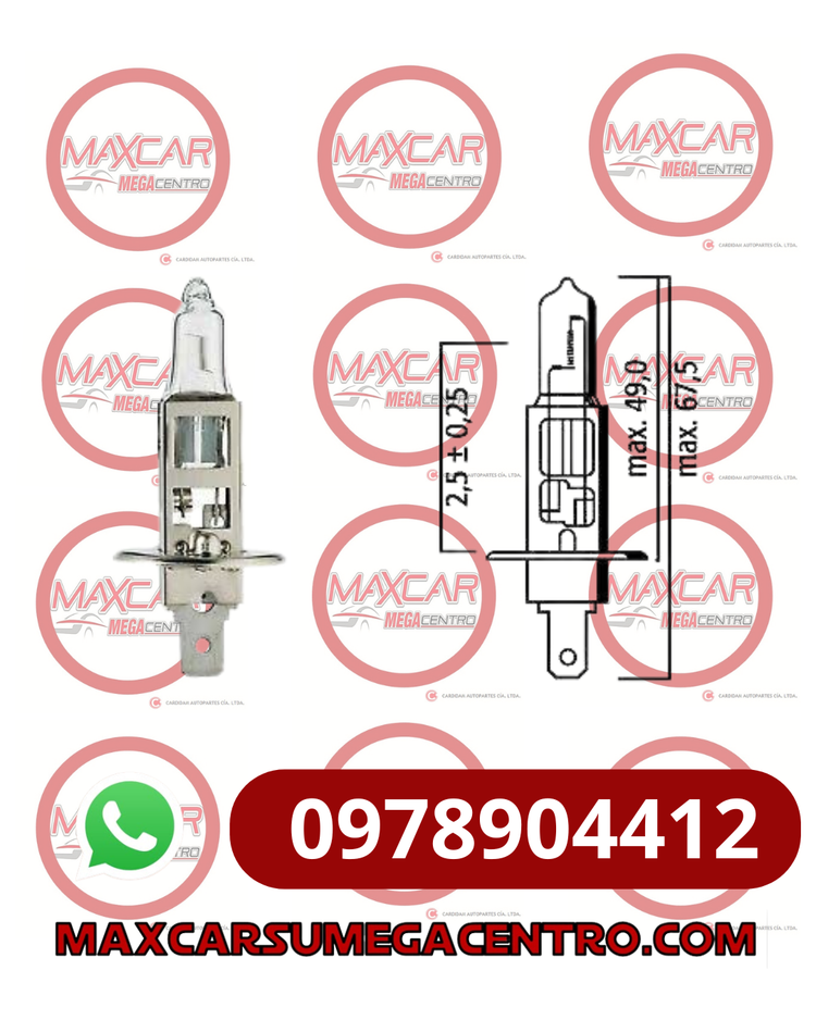 FAR.H1 HALOGENO FLOSHER 24V 70W 3024