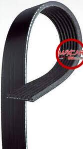 BANDA DONGIL 6PK1690 - BD6PK1690