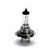 FOCO H7 12V 100W