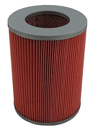 FILTRO PENTIUS AIRE PAB3245 NISSAN 2.400 DIESEL-FNPAB3245